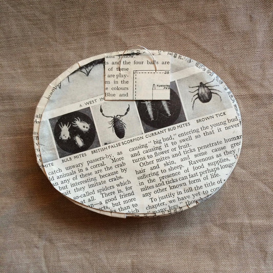 Future Nostalgia 2 oval scene (- please read the full description!)