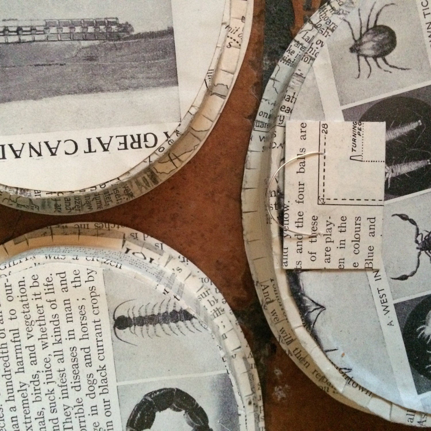 Future Nostalgia 3 oval scene - (please read the full description!)