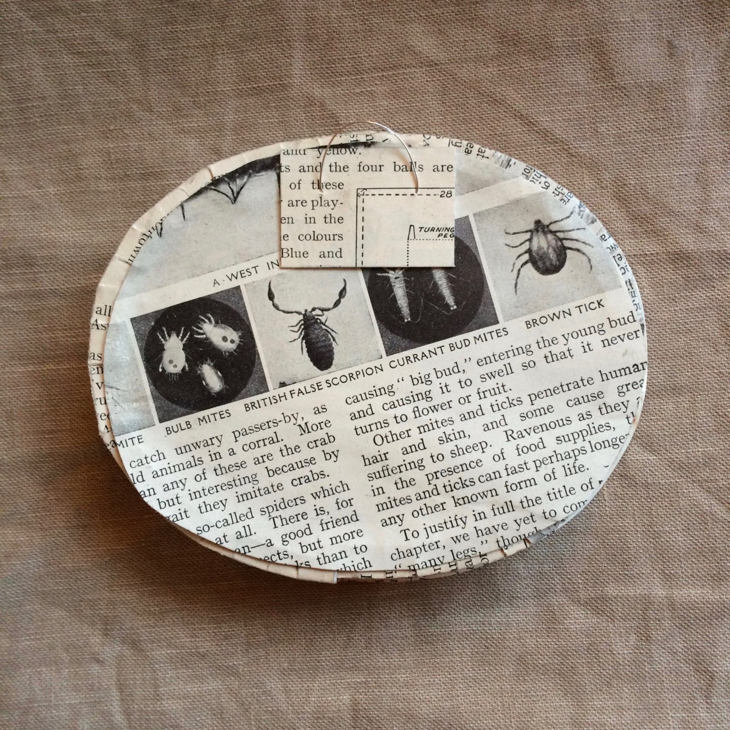 Future Nostalgia 3 oval scene - (please read the full description!)
